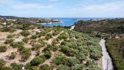 Loutraki Akrotiri Kreta, Loutraki: Grundstück neben dem Strand zu verkaufen Grundstück kaufen